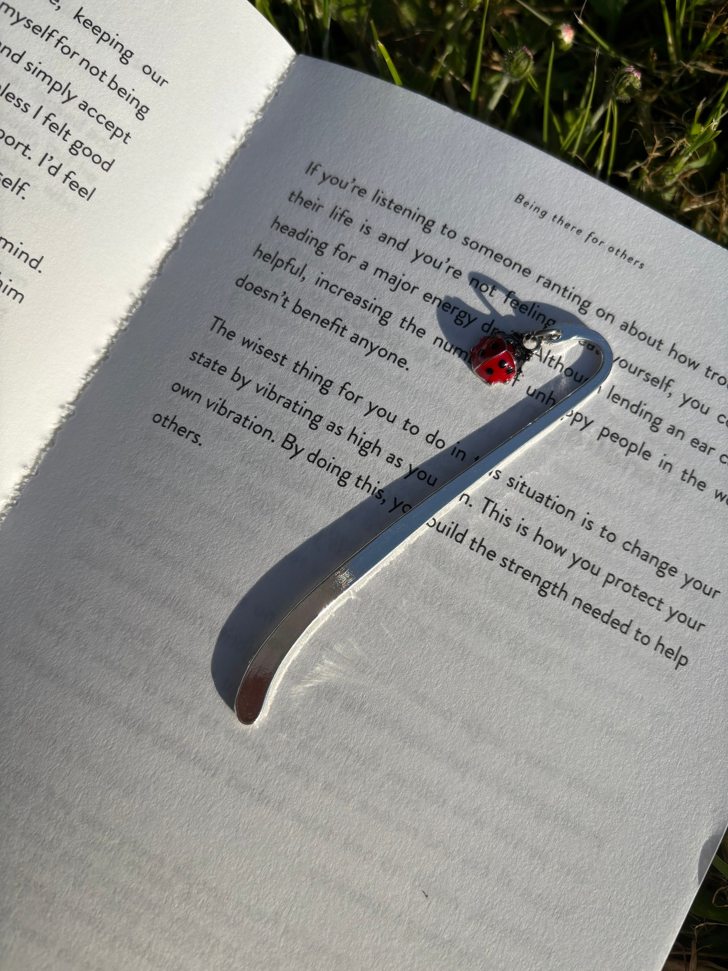 Silver ladybird bookmark